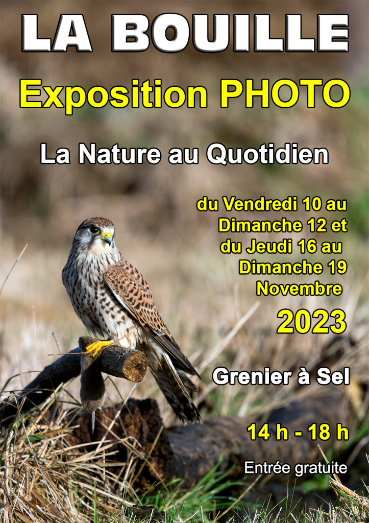 Affiche Nature au quotidien 01p