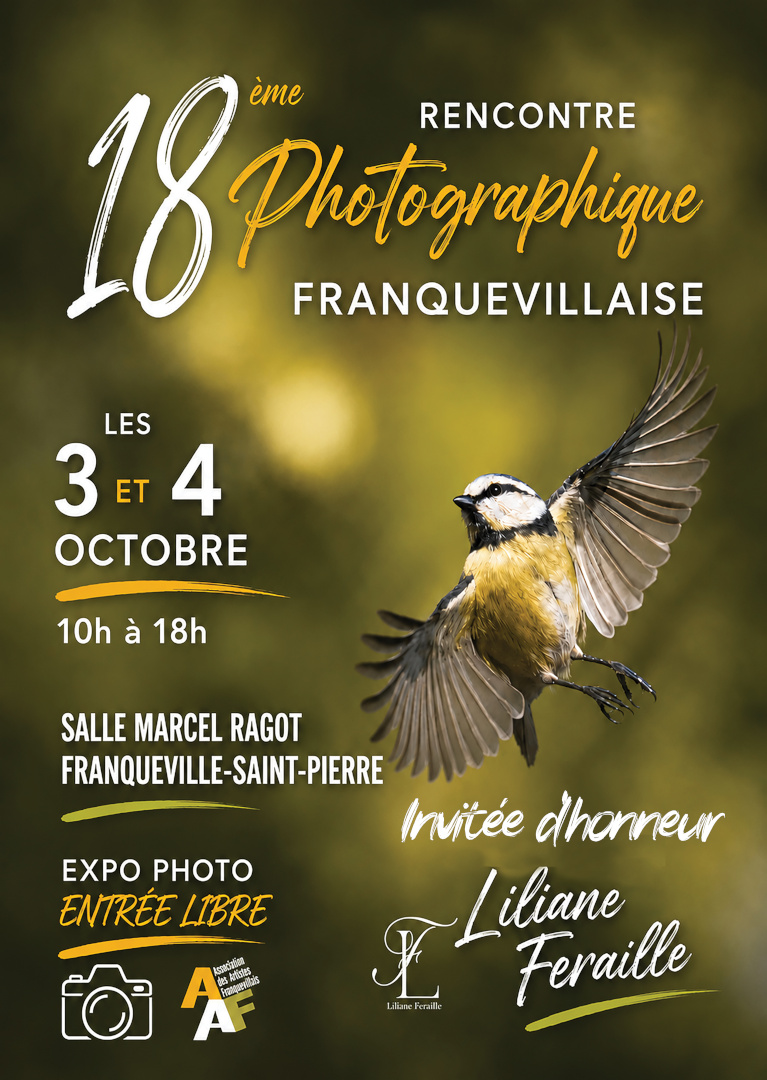 affiche Franquevillep