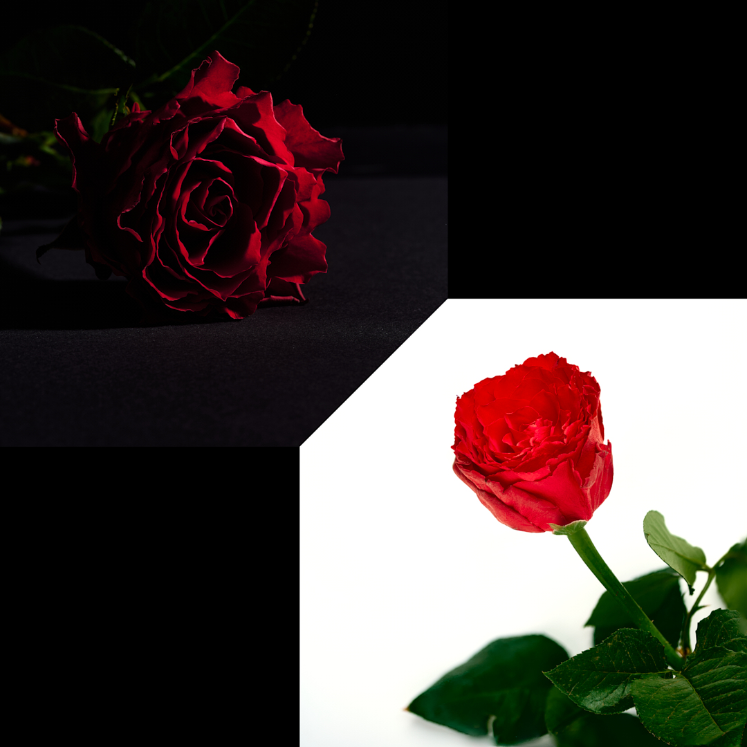 2022-03-11_N01-001
