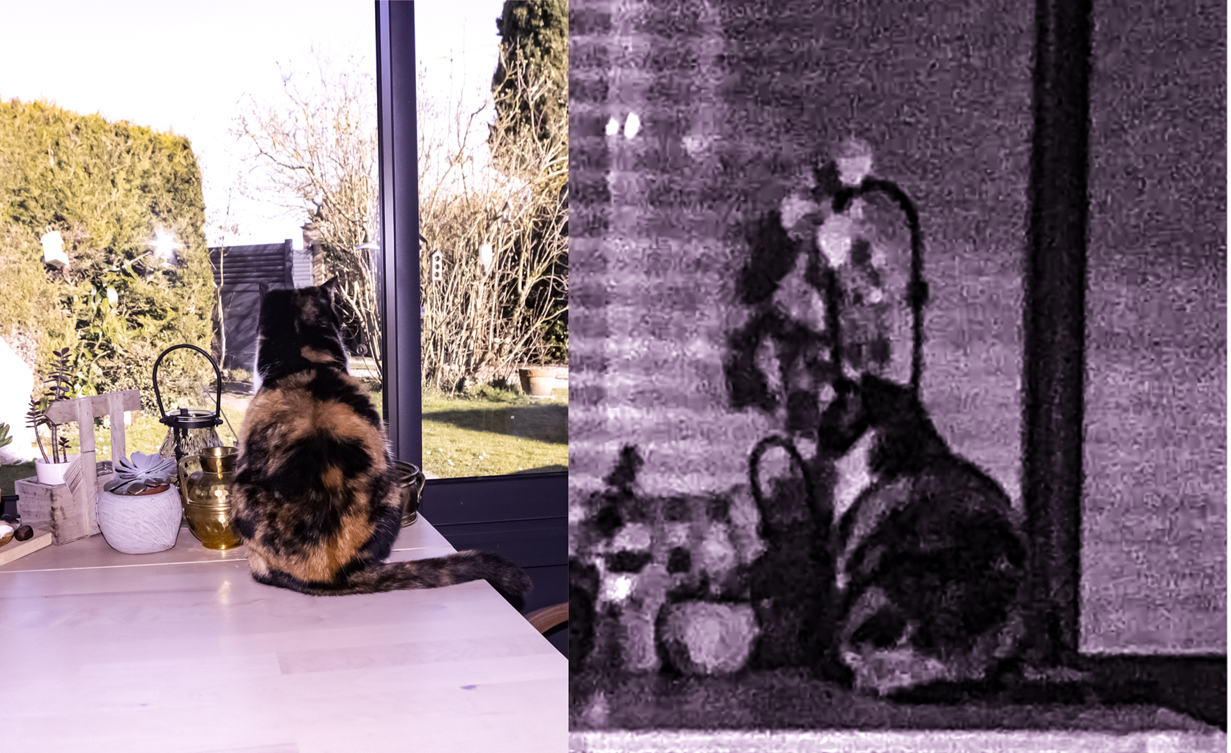 2025-04-11_N01-013.jpg