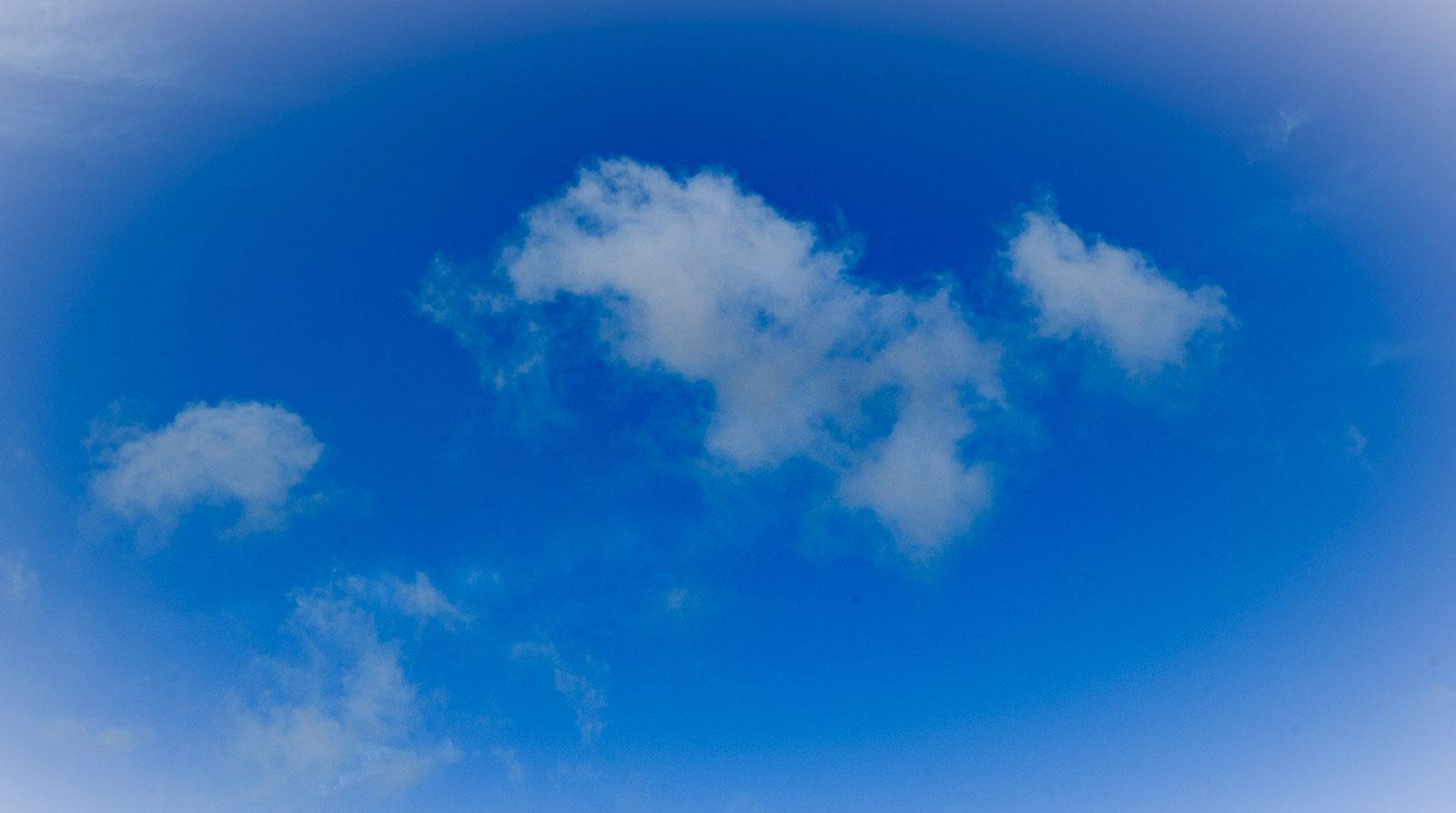 2025-06-01_S02-011.jpg