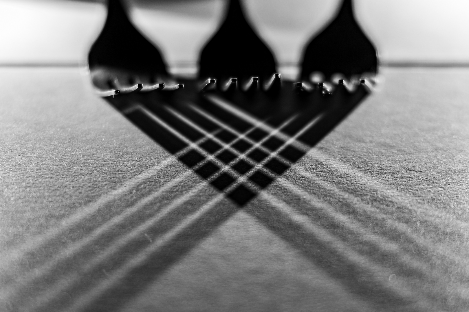 2025-06-06_N01-019.jpg