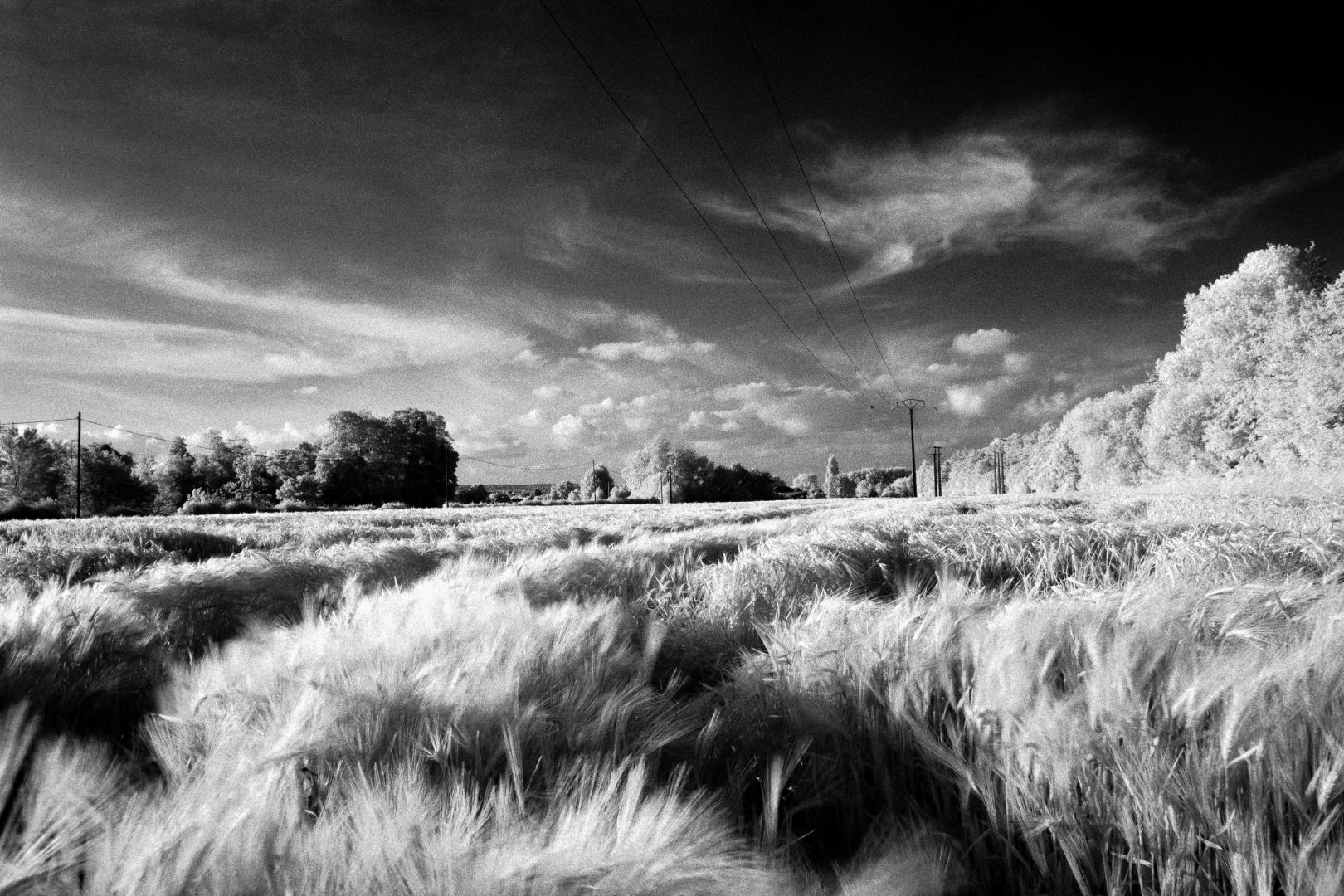 2025-09-12_N01-015.jpg