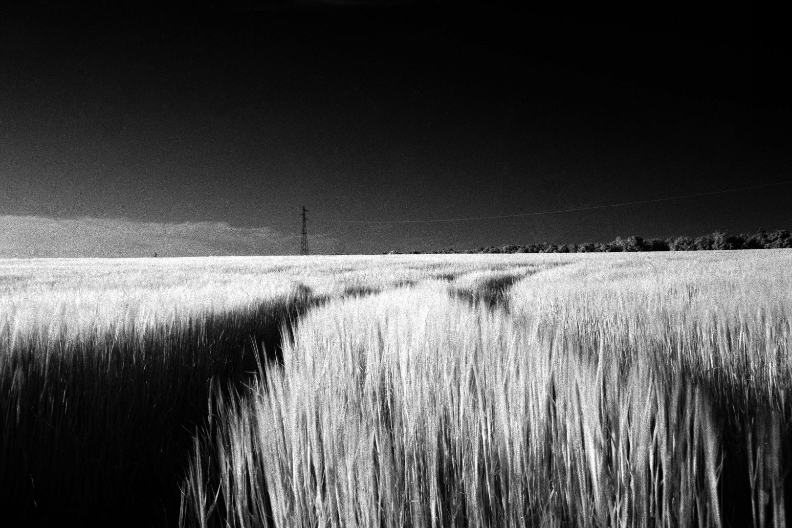 2025-09-12_N01-020.jpg